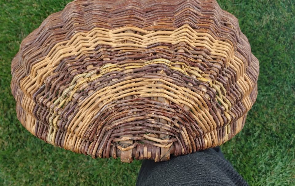 Early 20th Century Ojibway Willow Gathering Basket - photo 3