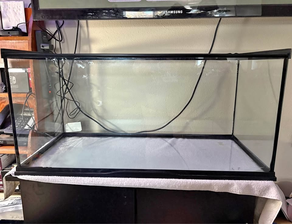 40 Gallon Tank (Price is negotiable)