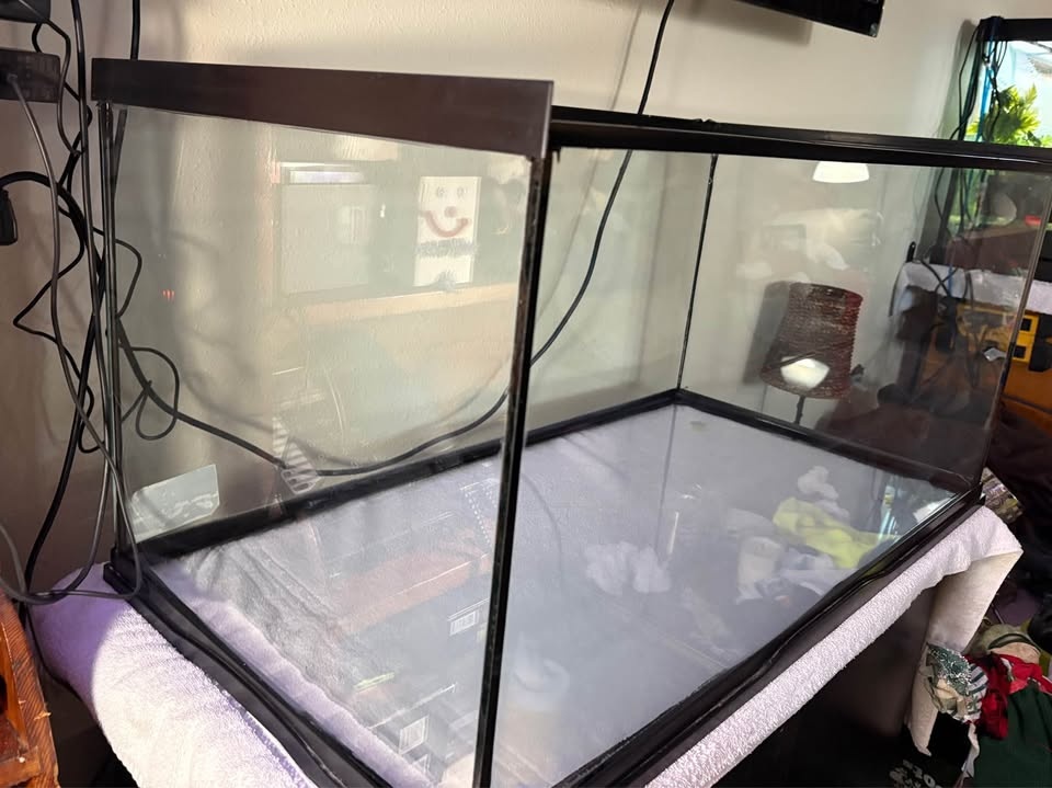 40 Gallon Tank (Price is negotiable) - photo 2