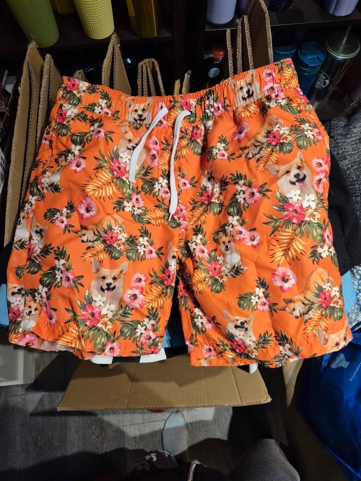 Swin Shorts and Sweats - photo 2