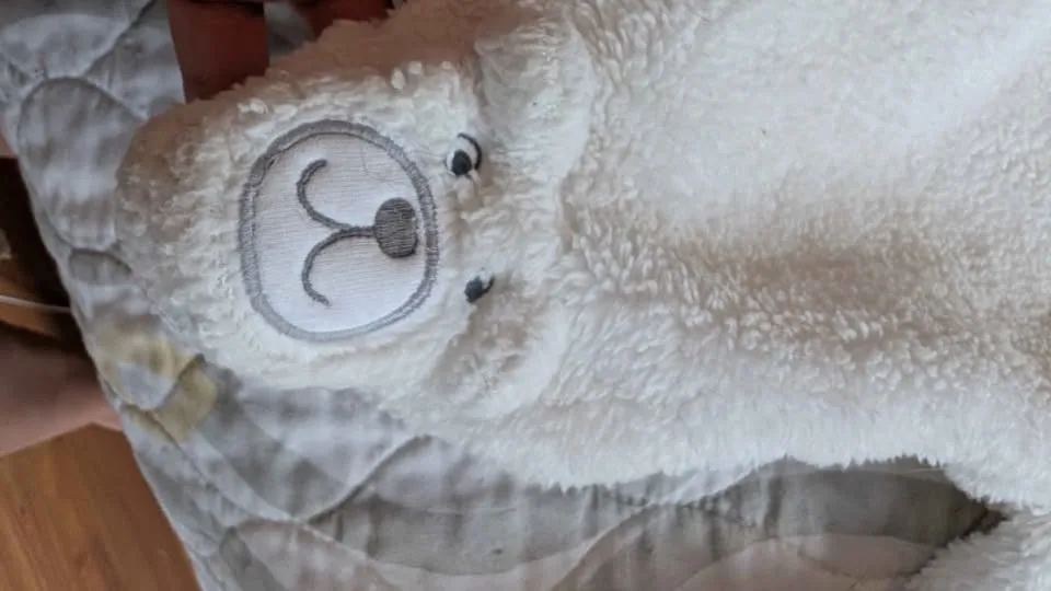 Carters Baby Bunting Suit 3 months image indicator(3)