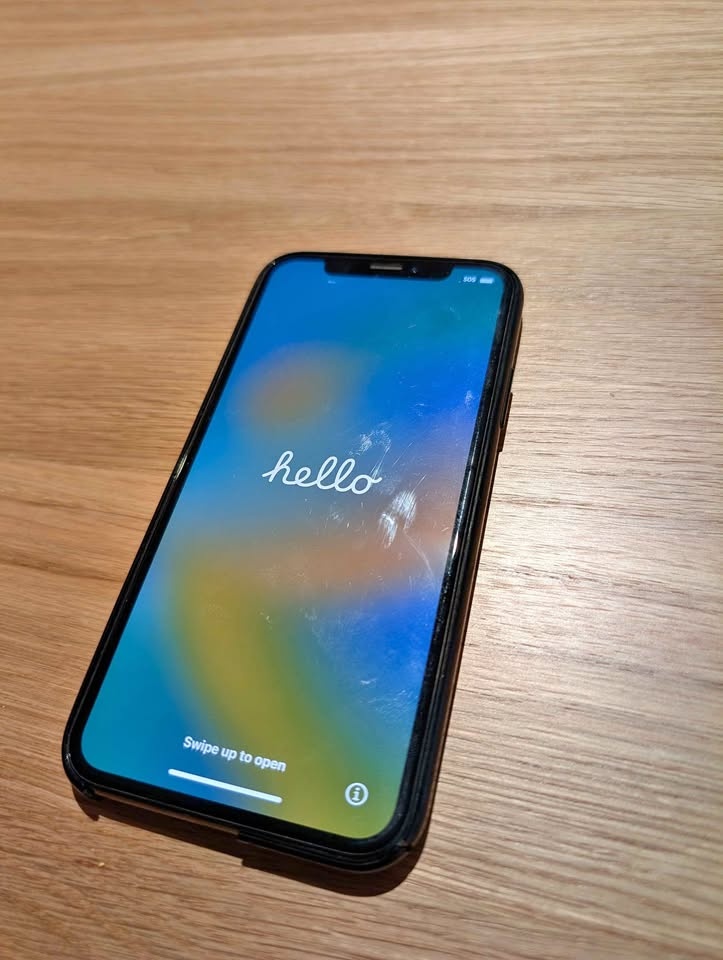 iPhone X 256GB