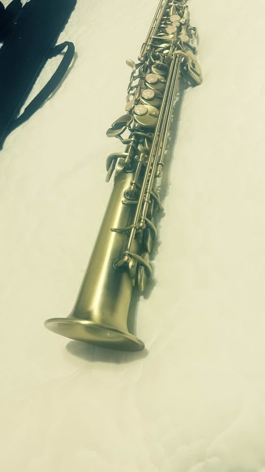Beautiful Soprano Saxophone Nickel Plated Straight saxophone Pro - photo 2