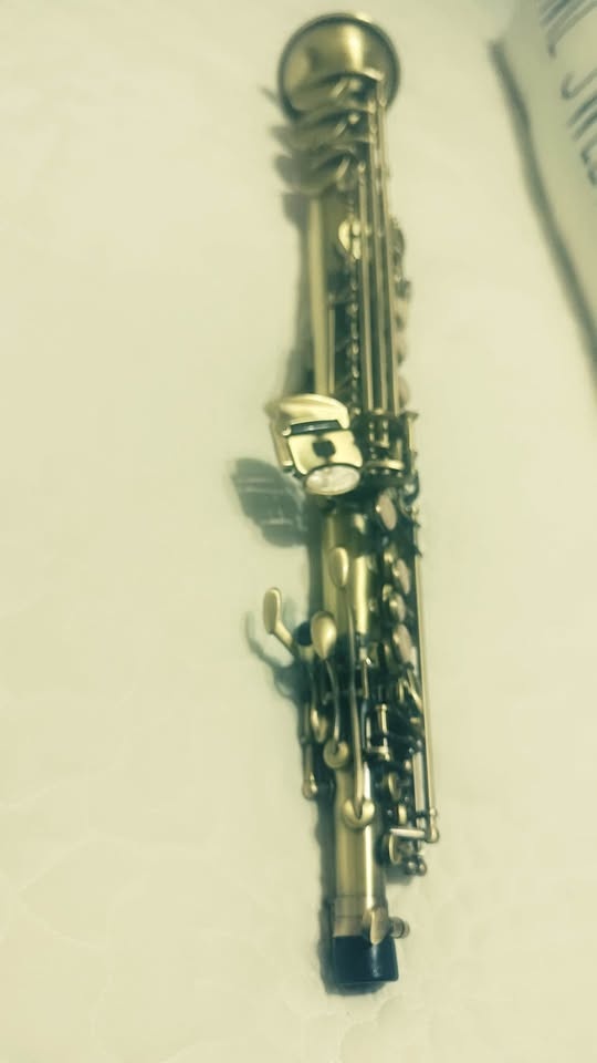 Beautiful Soprano Saxophone Nickel Plated Straight saxophone Pro - photo 4