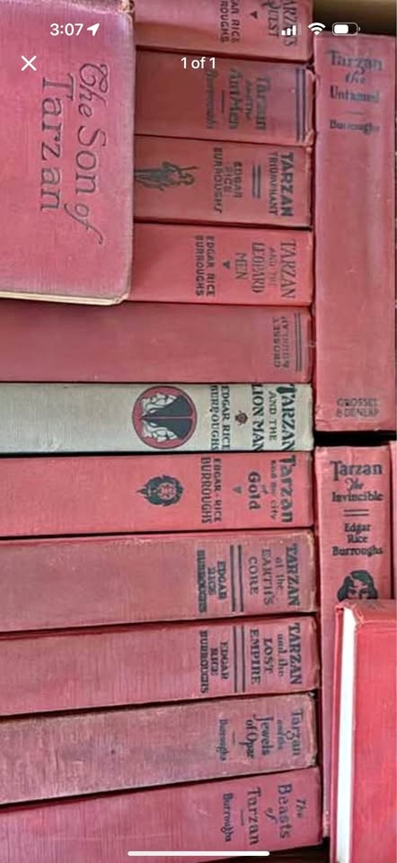 Lot of 19 Tarzan Edgar Rice Burroughs Books