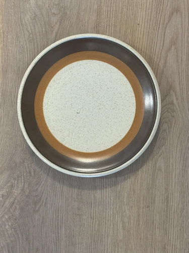 W DALTO Imperial Stoneware Dinner Plates 10 1/2 in, Set of 2 - photo 2