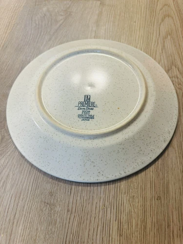 W DALTO Imperial Stoneware Dinner Plates 10 1/2 in, Set of 2 - photo 4