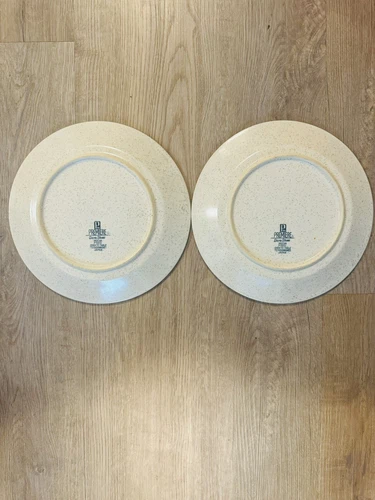 W DALTO Imperial Stoneware Dinner Plates 10 1/2 in, Set of 2 - photo 5