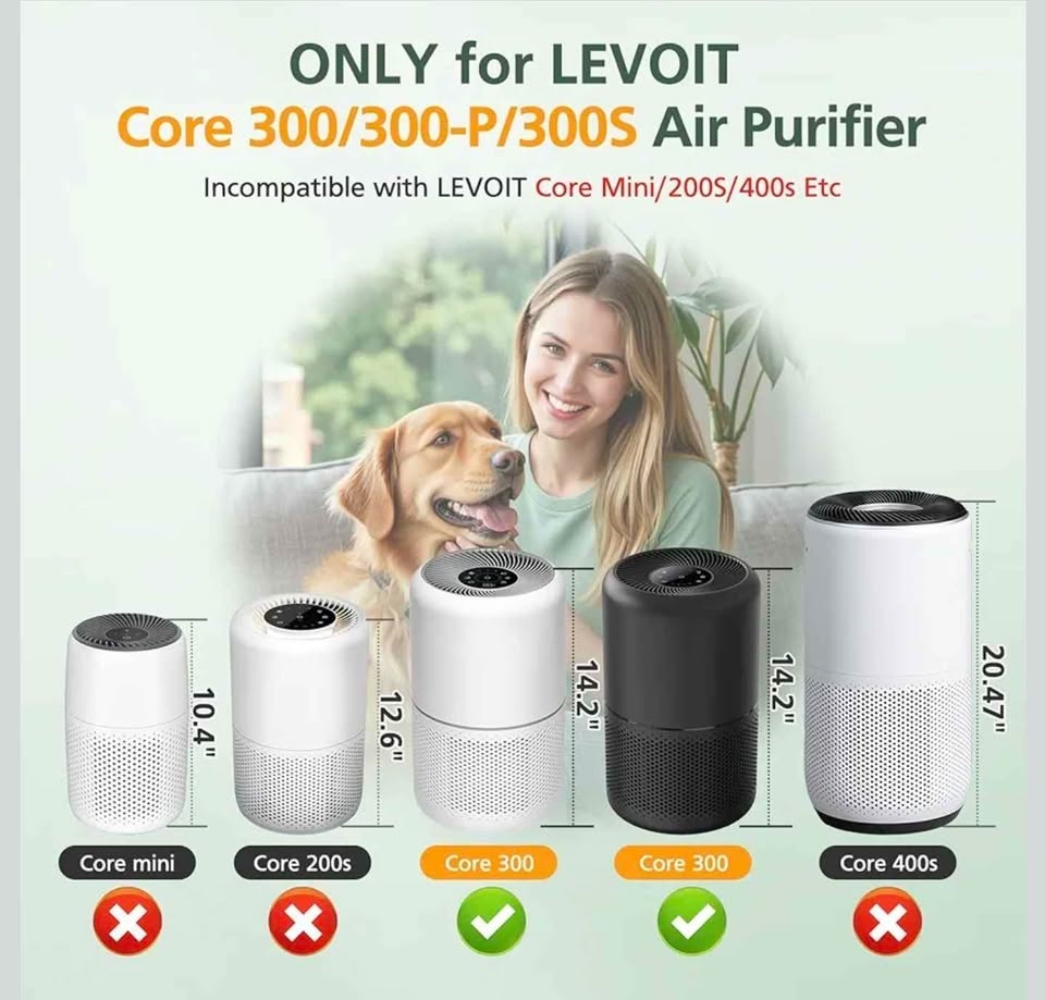 Aftermarket leviot core 300 filter 2pk - photo 4