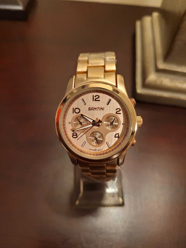 Brand New Unisex Santini Rose Gold Watch - photo 2