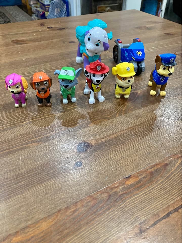 PAW Patrol Figures Lot with a Vehicle