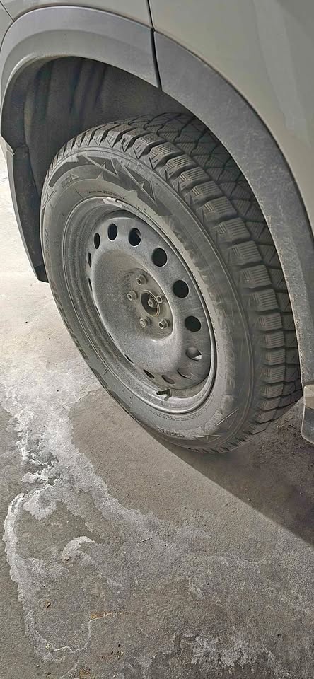 Bridgestone Blizzak DM-V2