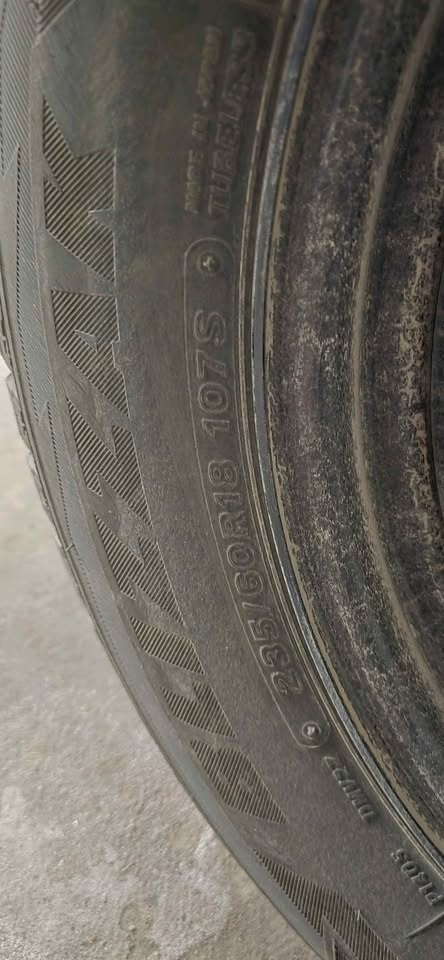 Bridgestone Blizzak DM-V2 - photo 2