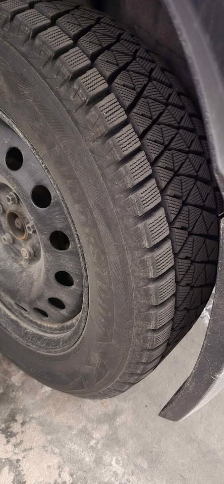 Bridgestone Blizzak DM-V2 - photo 3