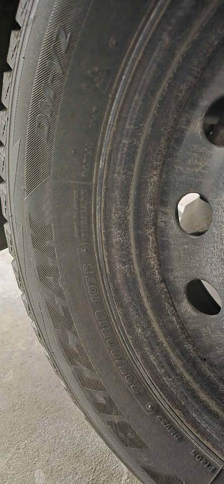 Bridgestone Blizzak DM-V2 - photo 4