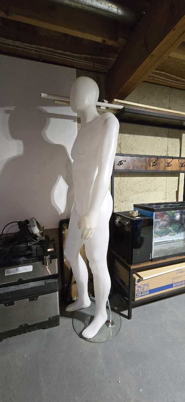 professional mannequin