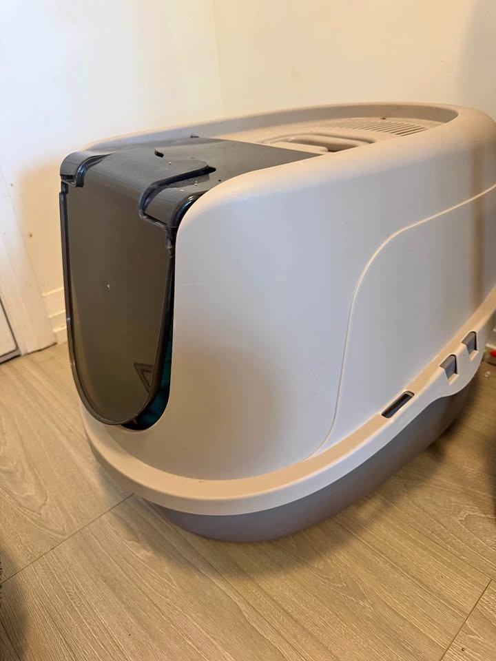 Cat Litter Box