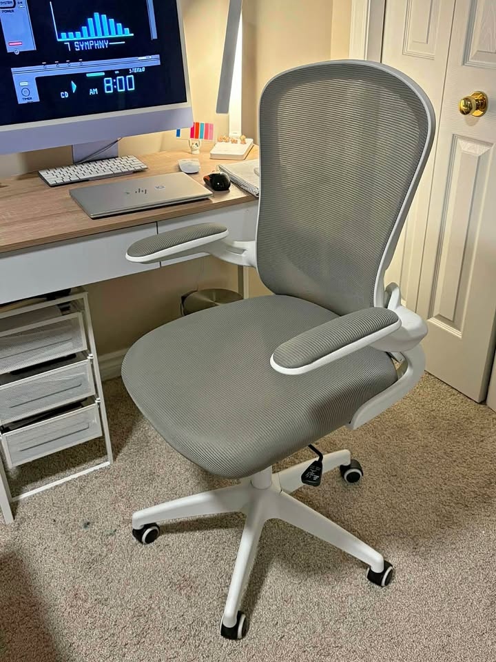 Ergonomic desk chair