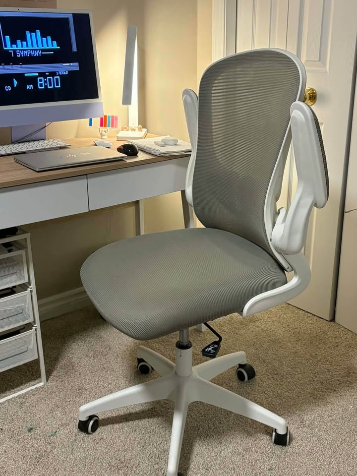 Ergonomic desk chair - photo 2