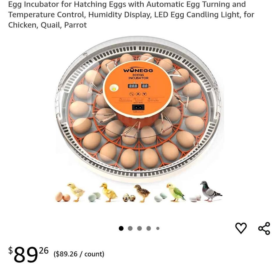 Automatic Egg Incubator Kit - New