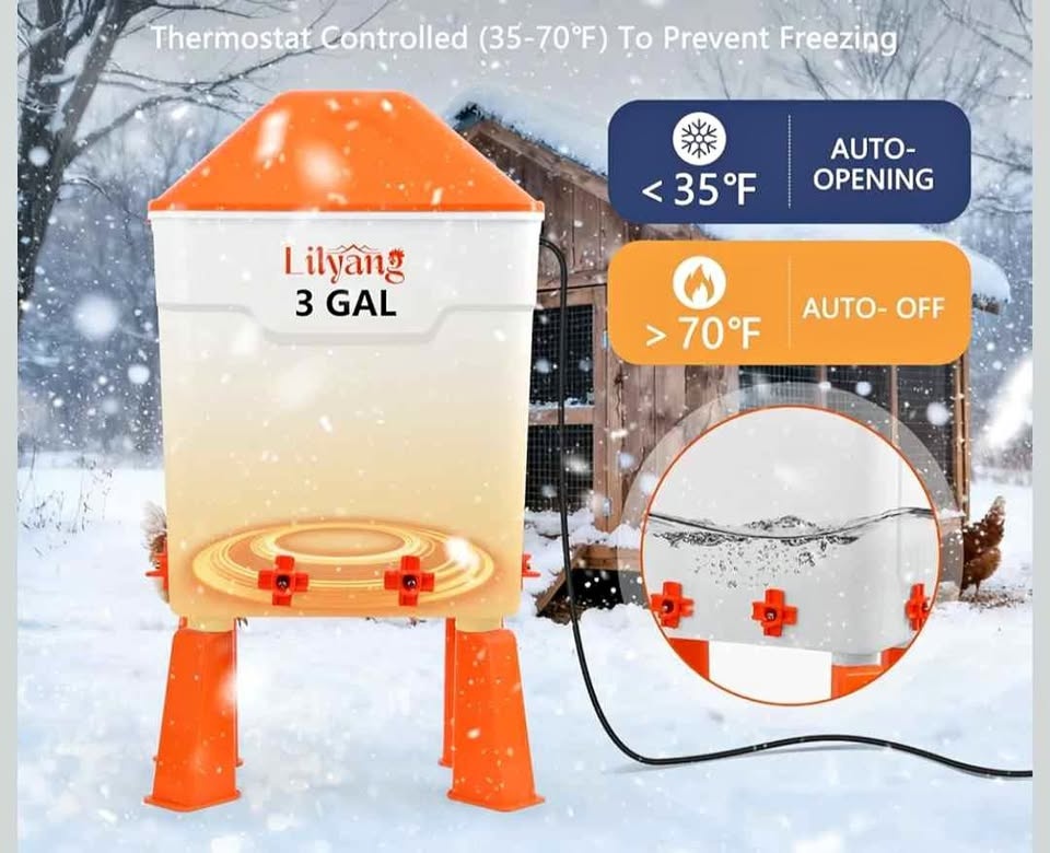 Auto Heated chicken Water Dispenser - New