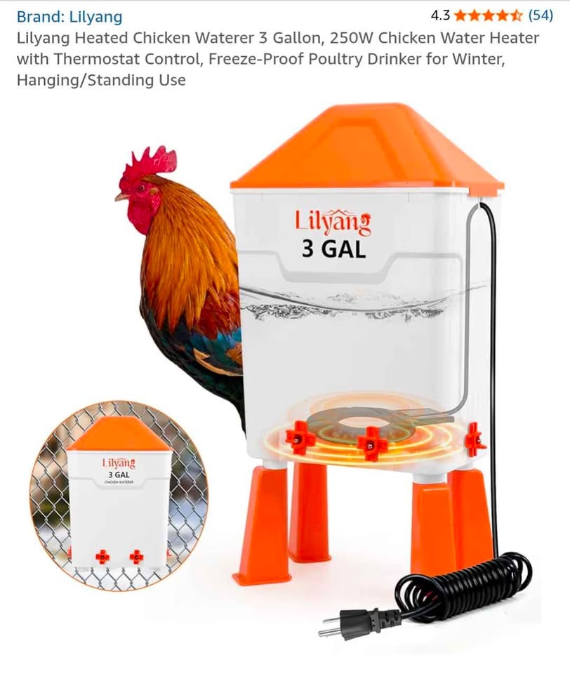 Auto Heated chicken Water Dispenser - New - photo 2