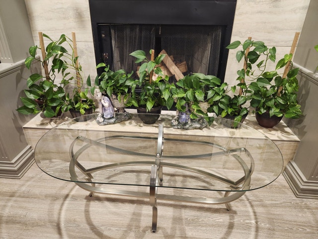 Glass top Coffee table