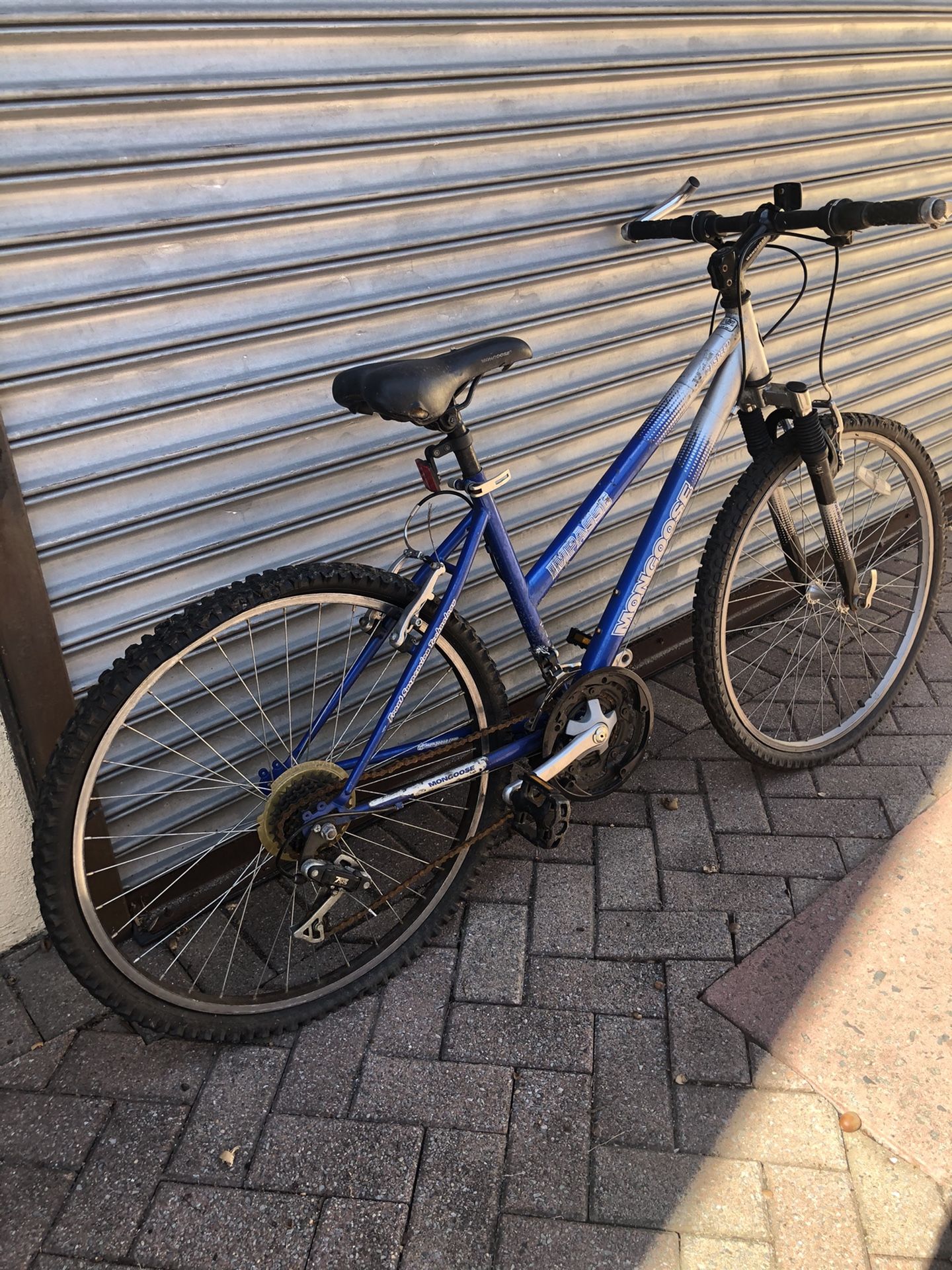 Mongoose 21 speed bike