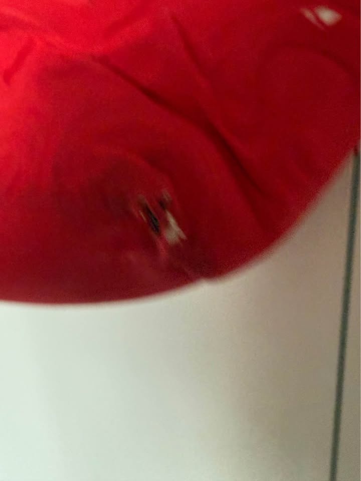 red Lululemon quilted logo gym tote bag - photo 4