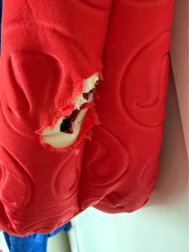 red Lululemon quilted logo gym tote bag - photo 5