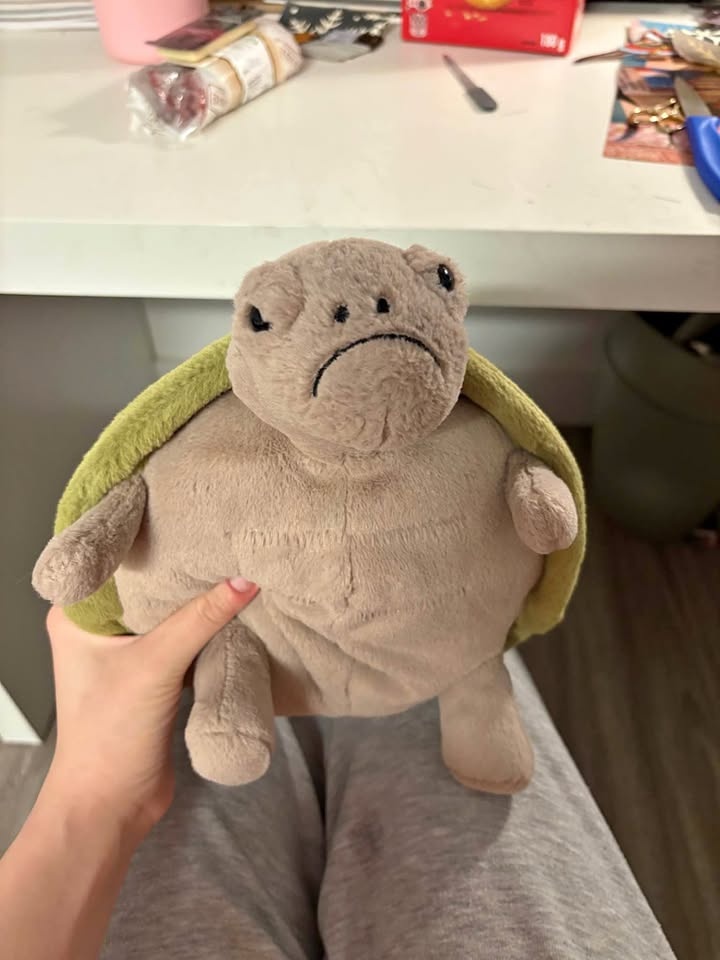 Timmy turtle jellycat