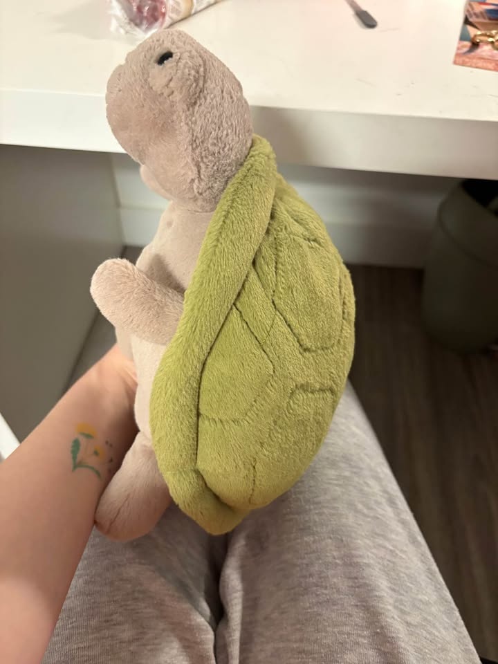 Timmy turtle jellycat - photo 2