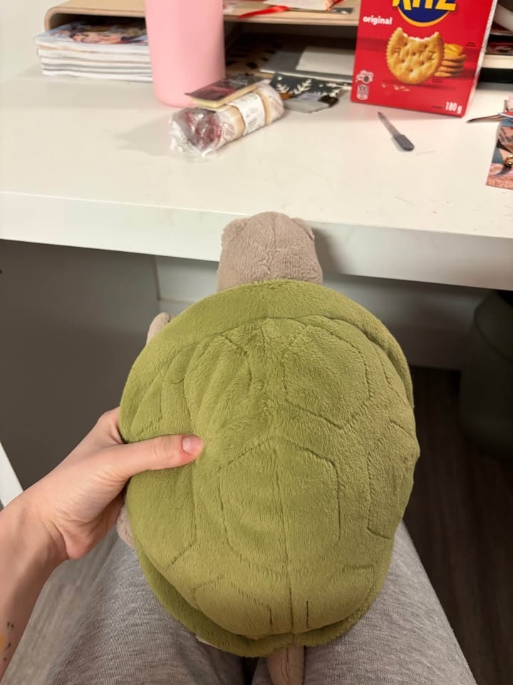 Timmy turtle jellycat - photo 3