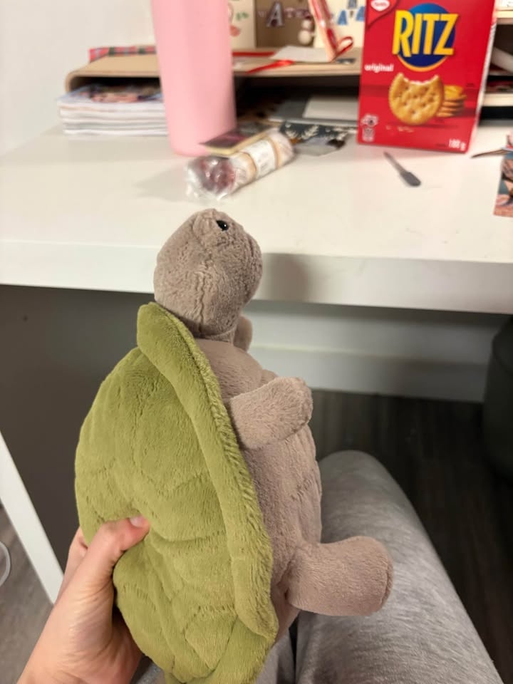Timmy turtle jellycat - photo 4