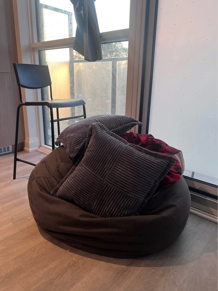 Wayfair Grey Cotton Twill Bean Bag - photo 3