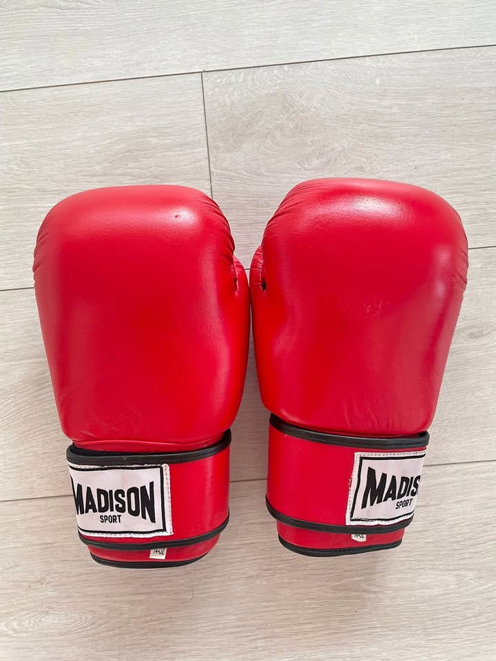 Boxing Gloves + Focus Pads Set