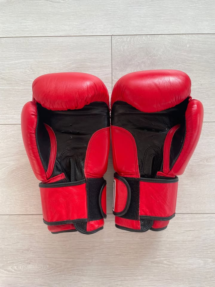 Boxing Gloves + Focus Pads Set - photo 3