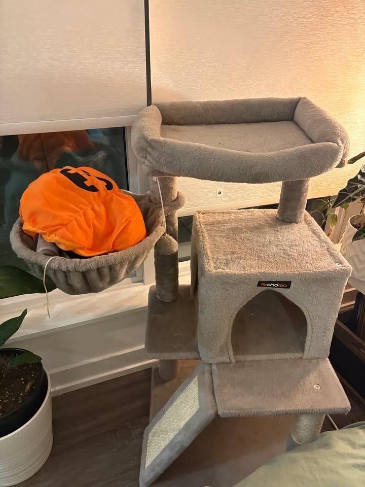 Grey cat tree