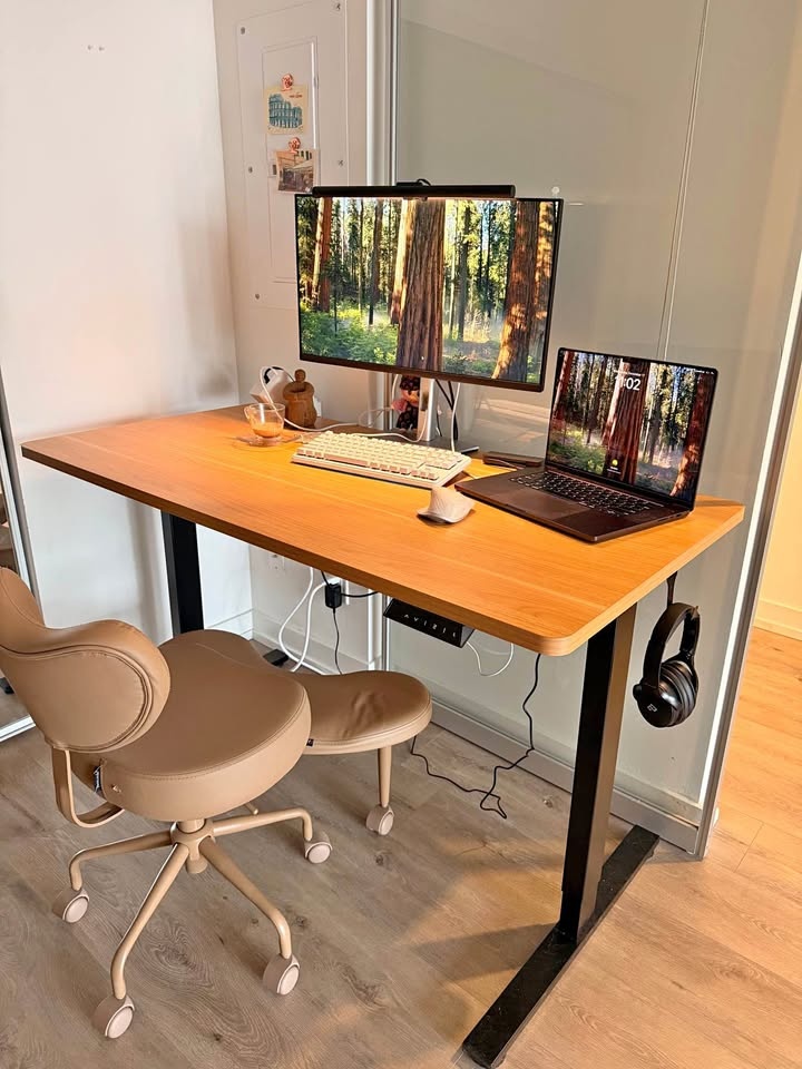 Flexispot standing desk