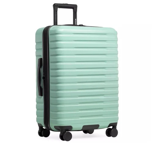 Carry-on 22" Hardside Spinner Luggage - Mint