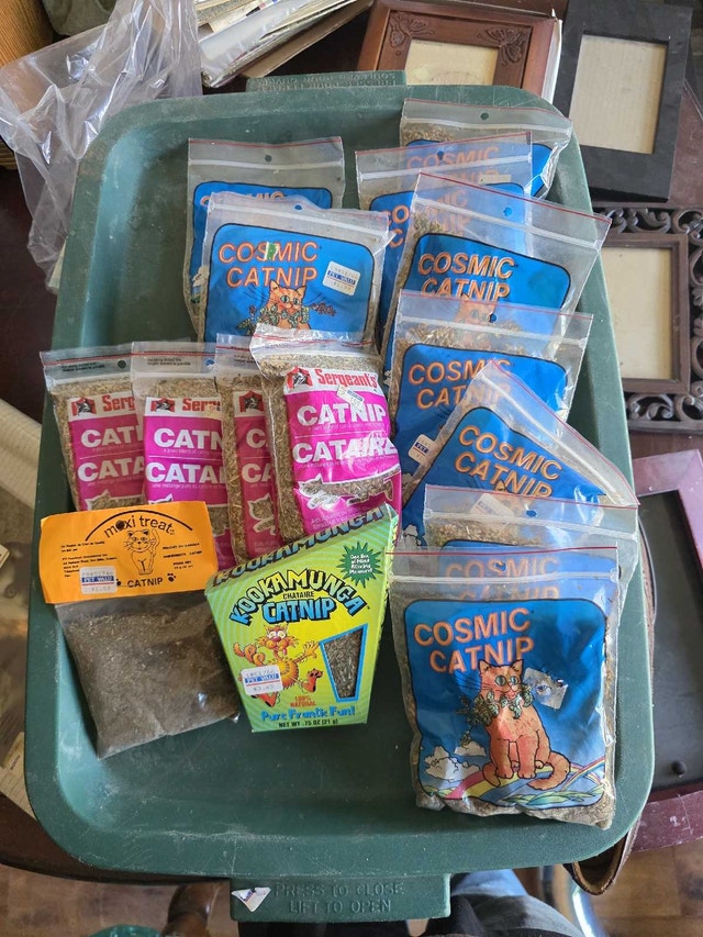 Cosmic cat nip