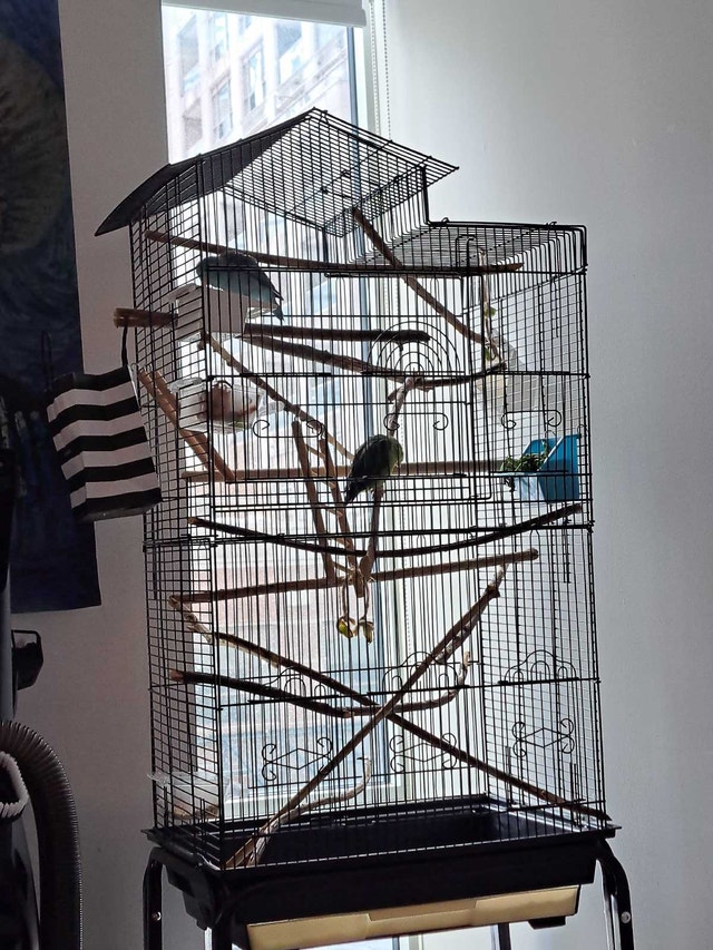 Large bird cage with rolling stand - photo 2