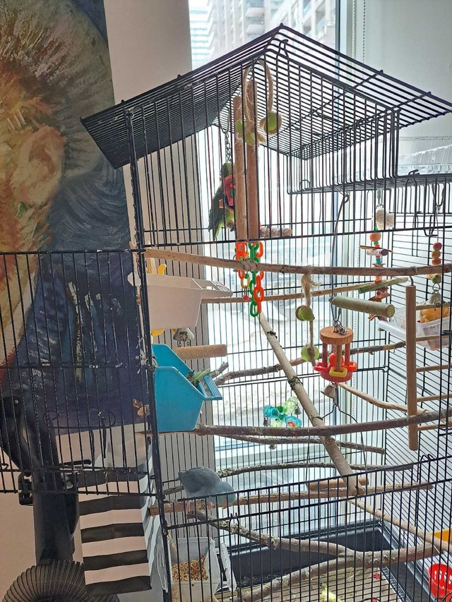 Large bird cage with rolling stand - photo 3