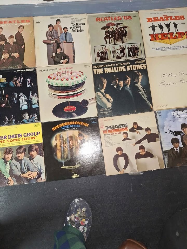 Stones and Beetles - photo 2