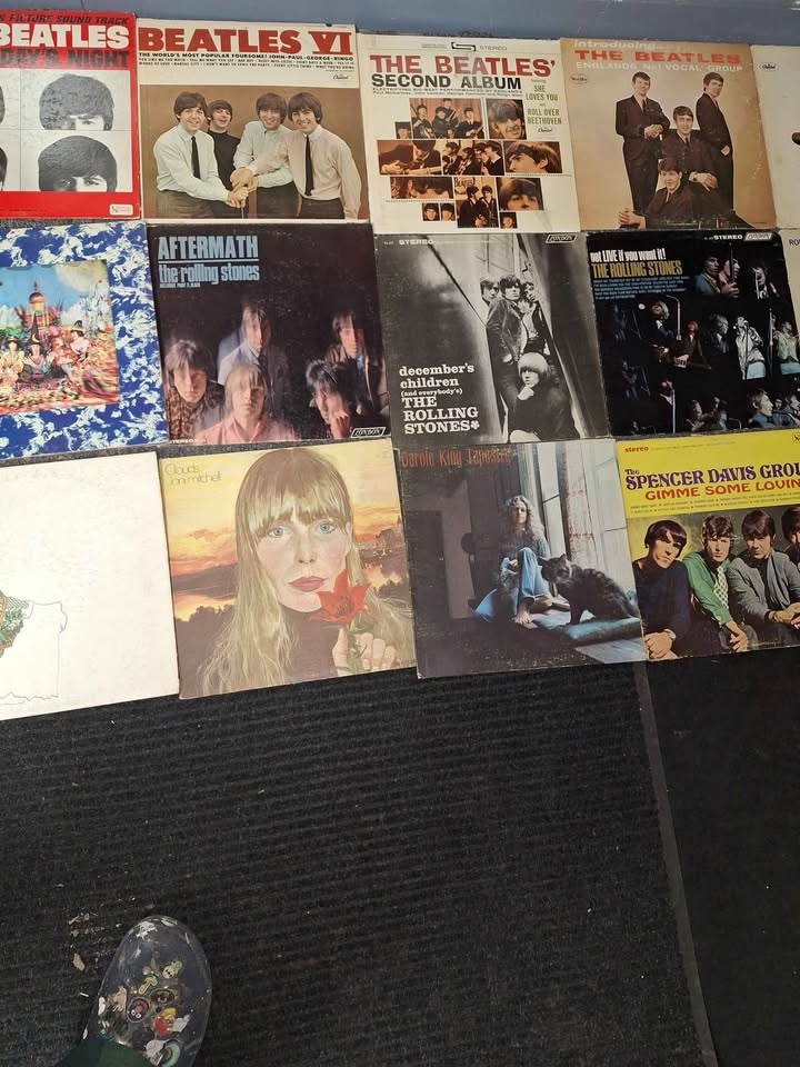 Stones and Beetles - photo 3