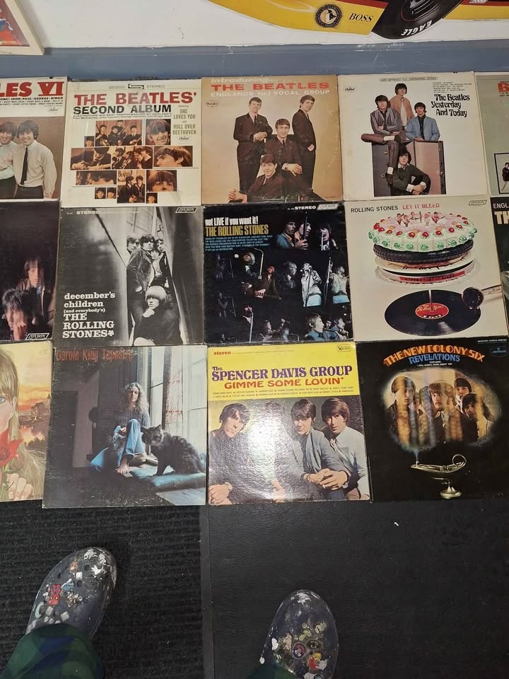 Stones and Beetles - photo 4