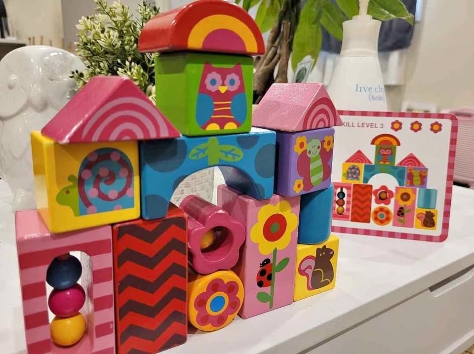 Stephen Joseph Wooden Blocks and matching cards montessori activ