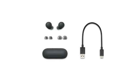 Sony WF-C700N Wireless Earbuds - Black - photo 3