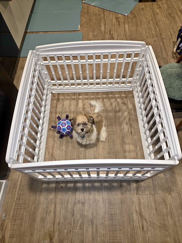 Pet Playpen