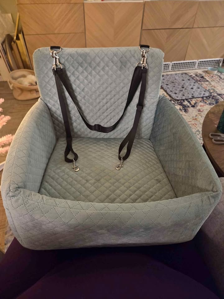 Pet Car Seat